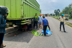 Seorang Pemotor Tewas Tabrak Truk Parkir di Tepi Jalan Lintas Palembang-Indralaya