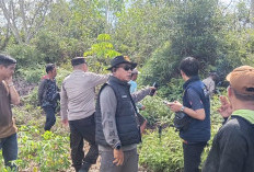 Geger!! Warga Gelumbang Temukan Mayat Lansia di Kebun Karet