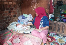 Pasca Viral Melahirkan di Teras Mushola, Nuraini dan Bayi Dinyatakan Sehat