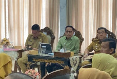 Antisipasi Karhutla, 10 Kecamatan di Palembang Jadi Atensi 