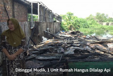 Ditinggal Mudik, Rumah Kayu di Karya Jaya Kertapati Palembang Hangus Terbakar