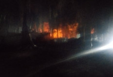 Kebakaran Hebat Sumur Minyak Ilegal di Keluang Muba, Puluhan Kendaraan Hangus