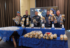 Selain Ganja Kering, Polda Sumsel Ungkap Persemaian Ribuan Bibit di Empat Lawang