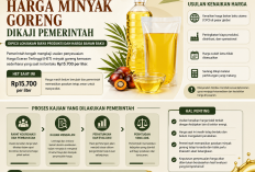 Usulan Kenaikan Harga Minyak Goreng Dikaji, Dipicu Lonjakan Biaya Produksi dan Harga Bahan Baku
