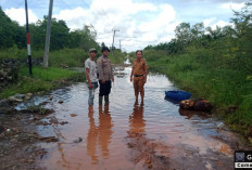 Curah Hujan Genangi Jalan Desa Tanjung Pule Kecamatan Indralaya Utara