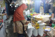Penurunan Harga Telur Ayam Disambut Positif Pembeli