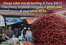 Pantauan Pasar, Harga Cabai Turun di Awal Tahun 2026
