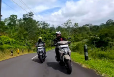 Yamaha Gear Ultima Hybrid Solid 2026 Kini Makin Irit BBM