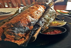 Ikan Semah Masak Bambu, Cita Rasa Alami dari Lereng Pagar Alam