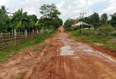 Jalan Rusak Parah, Warga Banyuasin Harapkan Perbaikan Segera