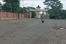 Jalan Syakyakirti Rusak, Warga Gandus Khawatirkan Keselamatan Mengendara