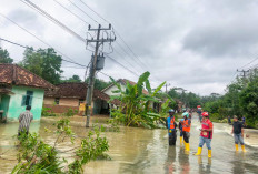 PLN ULP Tugumulyo Siaga Banjir, Amankan Jaringan Listrik Demi Keselamatan Masyarakat