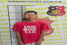 Polisi Tangkap Tersangka Cabul terhadap Anak, Berawal dari Perkenalan di Media Sosial