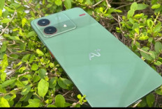 Spesifikasi Lengkap Samsung Galaxy S26 Bocor: Tentang Flagship Mendatang