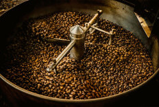 Mesin Giling Kopi, Perangkat Penting untuk Menghasilkan Bubuk Kopi Berkualitas