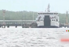 Cina Jadi Salah Satu Investor Pembangunan Pelabuhan Samudera Tanjung Carat