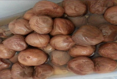 Manisan Asam Payo Sensasi Asam Segar khas Sumatera