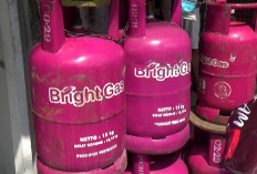 Harga Bright Gas Naik, Stok LPG 12 Kg di Palembang Kosong