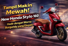 Tampil Makin Mewah! New Honda Stylo 160 Hadir dengan Warna Burgundy yang Elegan