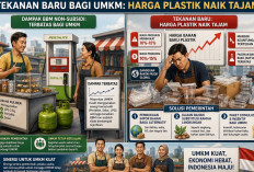 Tekanan Baru bagi UMKM: Harga Plastik Naik Tajam, BBM Nonsubsidi Tak Terlalu Berdampak