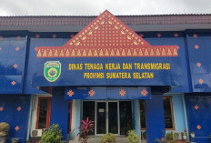 Mayoritas TKA di Sumsel Berasal dari China, Terbanyak di Muara Enim