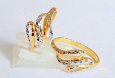 Flamingo dalam Balutan Emas Lambang Proses, Keseimbangan, dan Percaya Diri