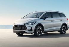 BYD M6 DM Resmi Hadir di Indonesia, MPV Hybrid Keluarga dengan Teknologi Masa Depan
