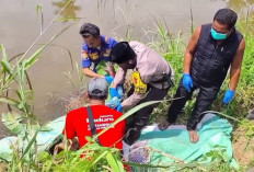 Mayat Pria Lansia Ditemukan Mengapung di Sawah Gegerkan Warga Desa Meritai