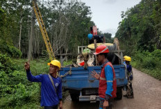 PLN ULP Kayu Agung Tingkatkan Keandalan Jaringan Listrik Melalui Uprating Penyulang Tenggiri 