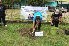 Unik! Mau Nikah? Catin di Ogan Ilir Dianjurkan Tanam Pohon Dulu