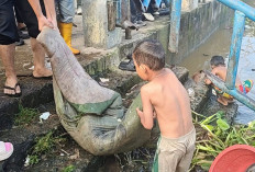 Aksi Bersih Sungai Musi Berhasil Angkut Lebih dari 1 Ton Sampah