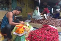 Pasokan Cabai Ke Sumsel Menurun Akibat Bencana Alam, Pemprov Sumsel Cari Suplai Tambahan