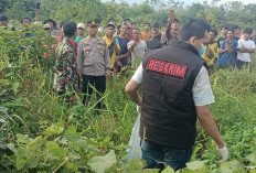 Mrs X Terbujur Kaku di Kebun Nanas, Warga Muara Enim Digegerkan Penemuan Mayat Perempuan