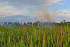 Hingga April 2026, sebanyak 857 Hotspot terdeteksi di Sumsel