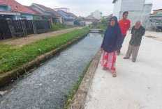Limbah Tahu Cemari Anak Sungai di Kelurahan Bukit Lama, Belum Ada Solusi dari Pemkot Palembang