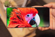 Samsung Resmi Meluncurkan Galaxy S26 Ultra 5G: Era Baru Agentic AI dan Performa Tanpa Batas