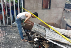 Kebakaran Hebat Ludeskan 9 Rumah di Ogan Ilir, 40 Jiwa Butuh Bantuan