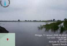 Donasi dan Pos Kesehatan Dibuka untuk 3.979 Warga Terdampak Banjir di OKI