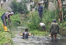 Normalisasi 5 Titik Anak Sungai di Ilir Barat I untuk Antisipasi Banjir
