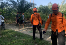 Lansia Hilang di Musi Rawas, Tim SAR Gabungan Perluas Area Pencarian