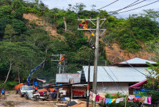 Sistem Kelistrikan Aceh Pulih, Seluruh Gardu Induk Beroperasi Normal, PLN Lanjutkan Pemulihan Distribusi