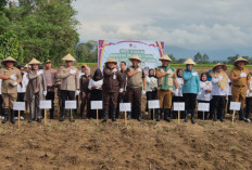 Kejari Pagar Alam Bersama Kejati Sumsel Dorong Ketahanan Pangan Lewat Penanaman Jagung 