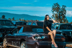 Mobil Bekas yang Disukai Cewek, Bukan Cuma Soal Harga tapi Juga Gaya dan Kenyamanan