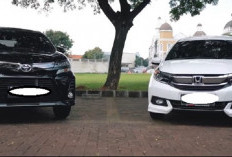 Libur Tahun Baru Lebih Nyaman, Ini Daftar Harga dan Tips Sewa Mobil