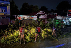 Hujan Tak Jadi Halangan! Polisi Muara Enim Gerak Cepat Atasi Pohon Tumbang di Jalan