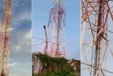 Seorang Pria Nekat Hendak Bundir Panjat Tower Kelurahan 9 Ilir Palembang
